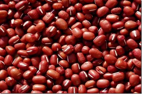 Khám phá lợi ích tuyệt vời từ hạt đậu đỏ đối với sức khỏe