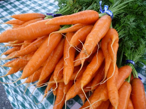 Cà rốt là một loại rau củ được trồng khá nhiều ở nước ta